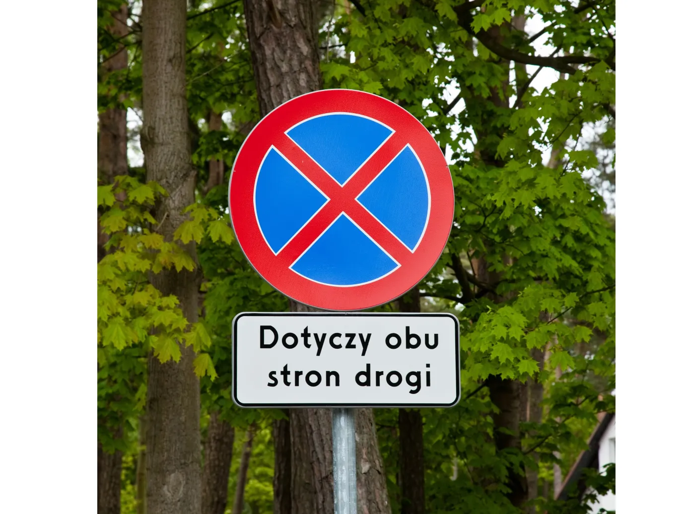 Zapłacą za zmowę przetargową