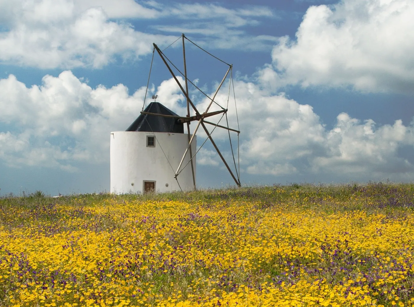 wiatrak portugalia wiatraki