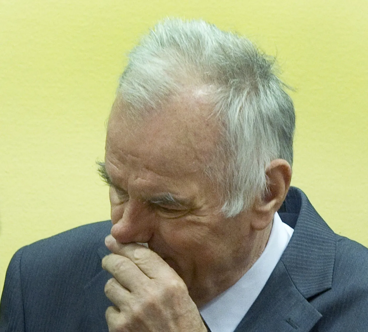 3501465-ratko-mladic-przywodca-serbow.jpg