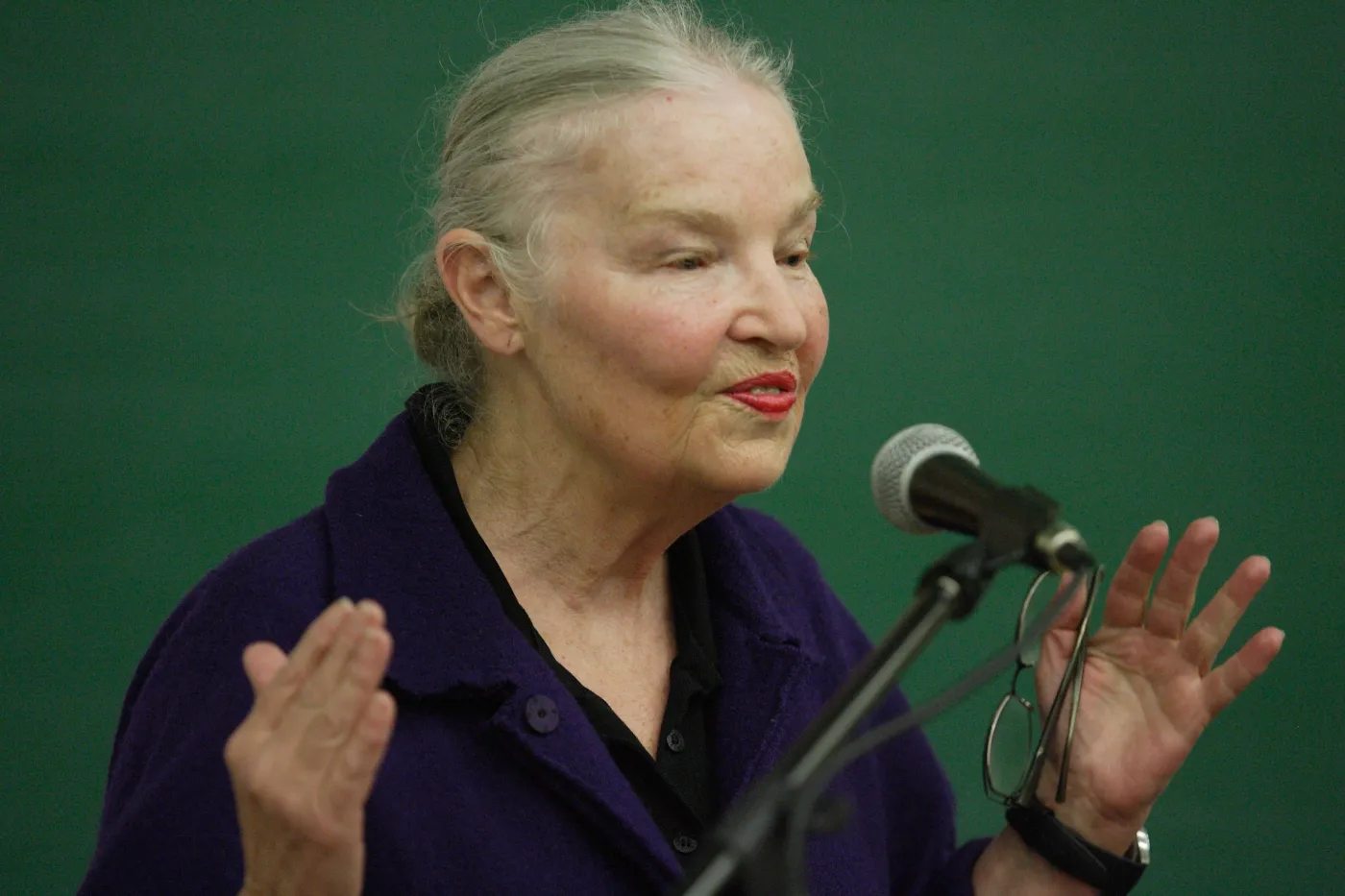 Profesor Jadwiga Staniszkis