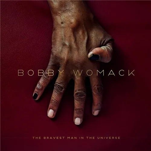 4407180-bobby-womack-the-bravest-man.jpg