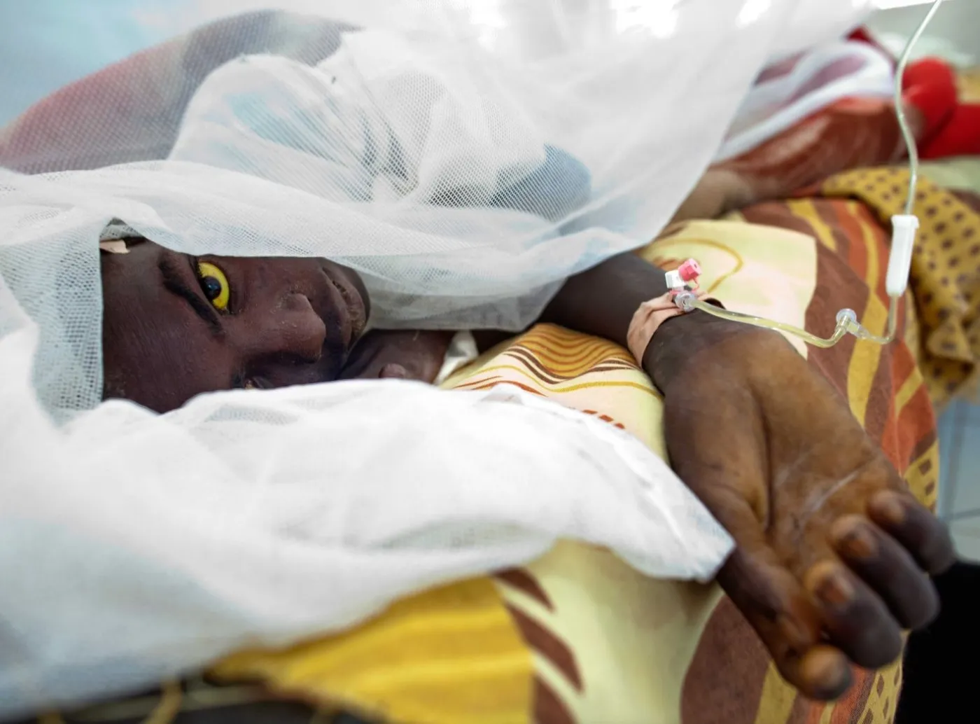 darfur gorączka zółta febra