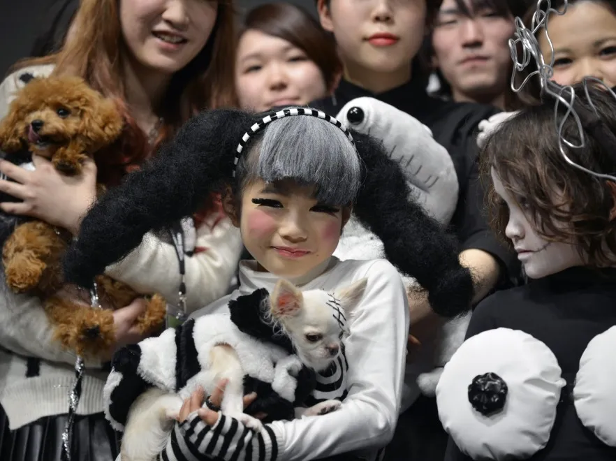 Frankenweenie Fashion Contest 