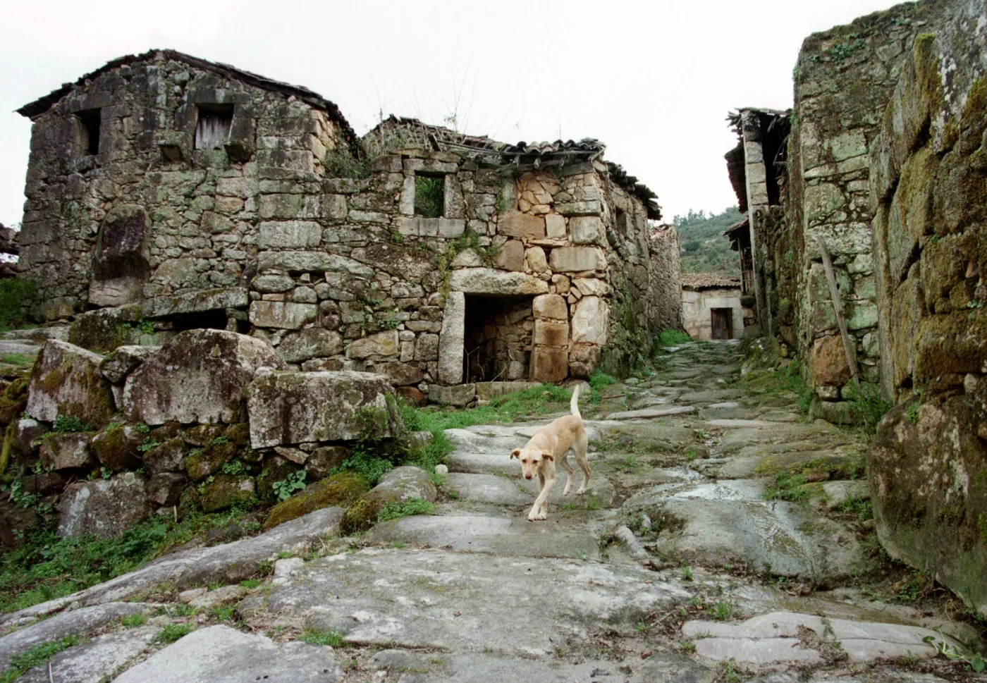 Wioska Povoa Dao w północnej Portugalii zamieszkana tylko przez jedną rodzinę