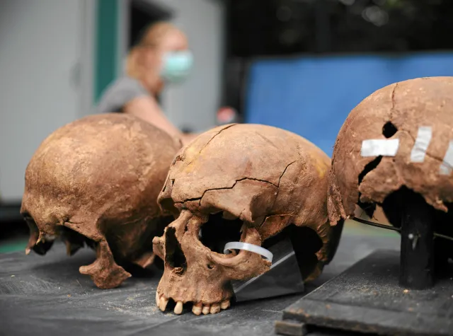 "Identyfikacja ofiar z Powązek może trwać latami". Genetyk wyjaśnia