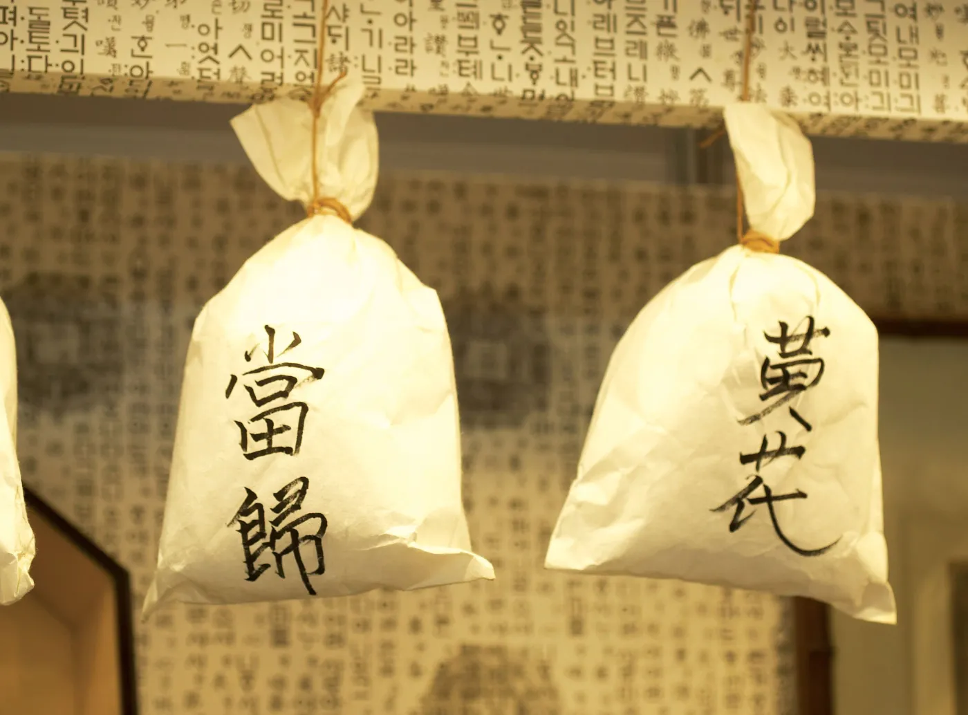 Woreczki z chińskimi lekami