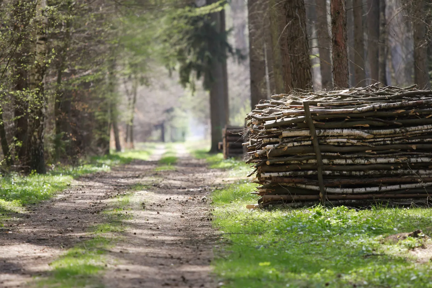 Krajeński Park Krajobrazowy