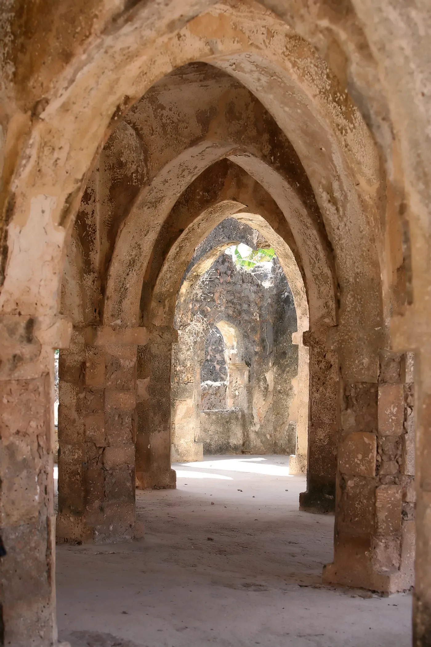 5944234-zabytki-kilwa-kisiwani-afryka.jpg