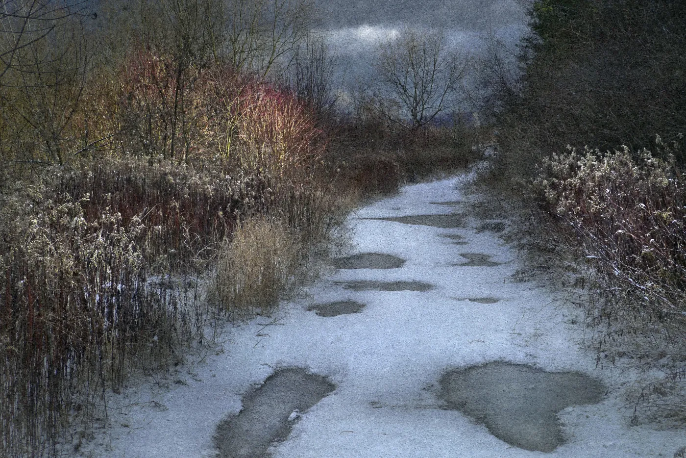 "Cztery pory roku". Radosna fotografia Tomka Sikory