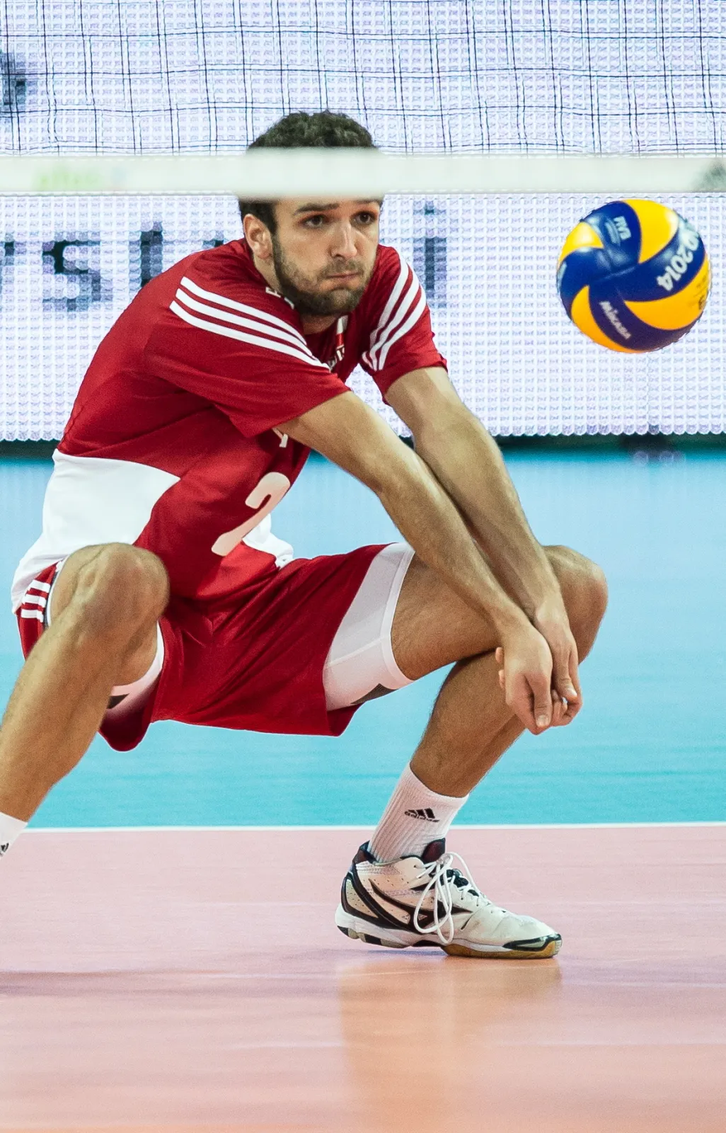 6769175-siatkowka-mistrzostwa-swiata.jpg