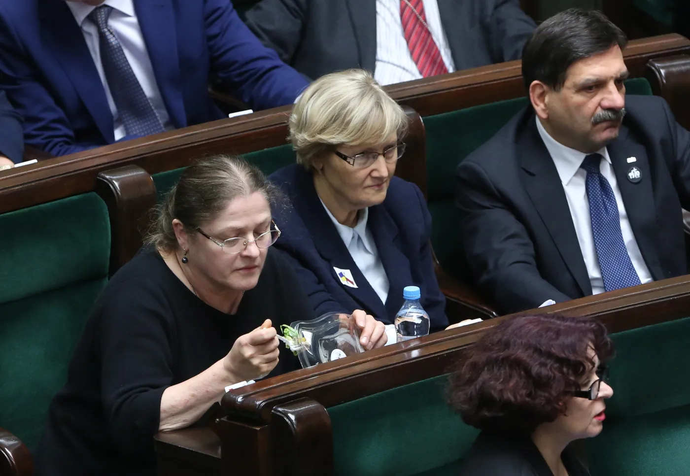 Krystyna Pawłowicz w Sejmie