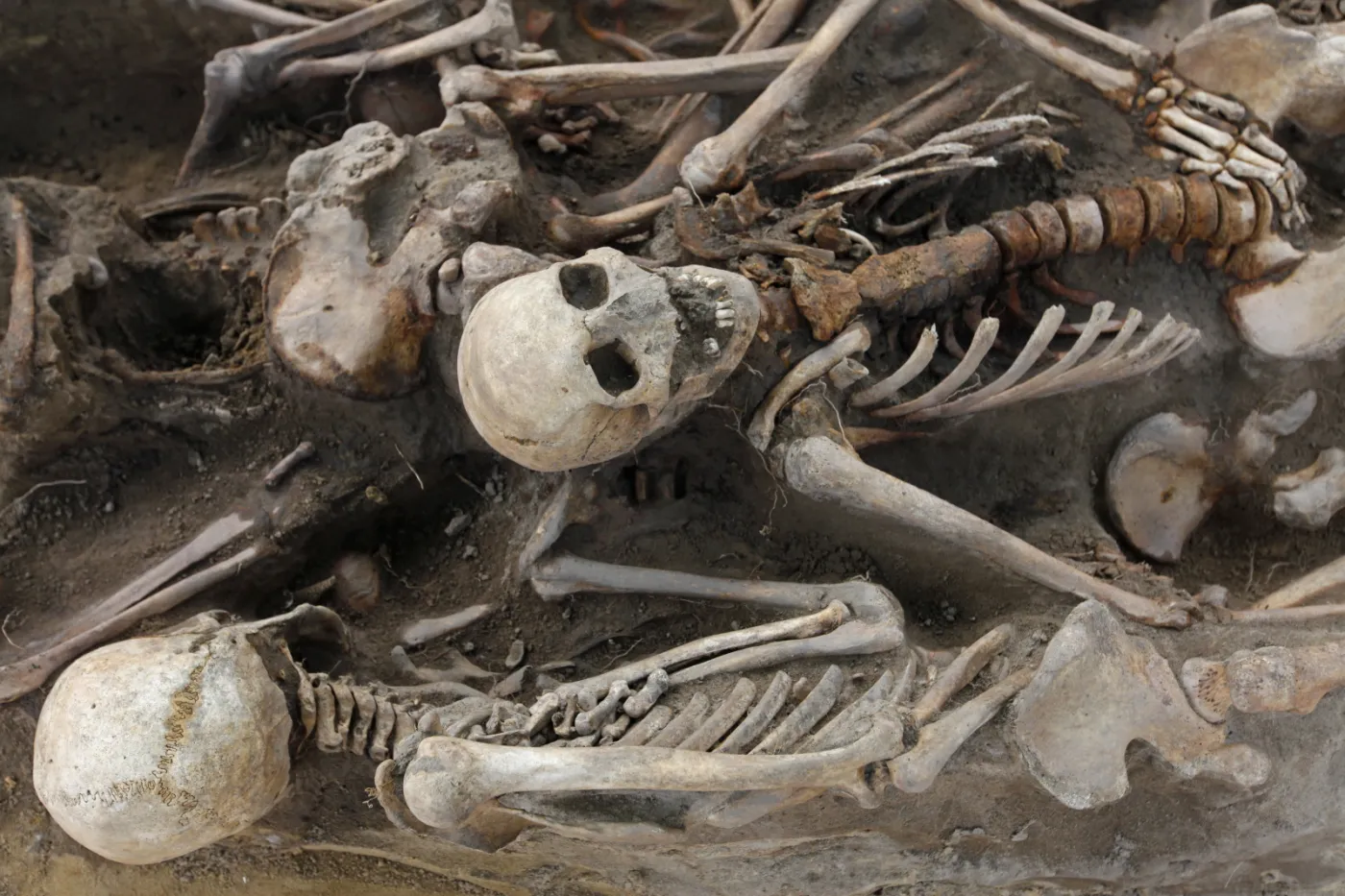 Białostockie osiedle na szkieletach. Zabici przez Niemców, Sowietów czy UB? ZDJĘCIA