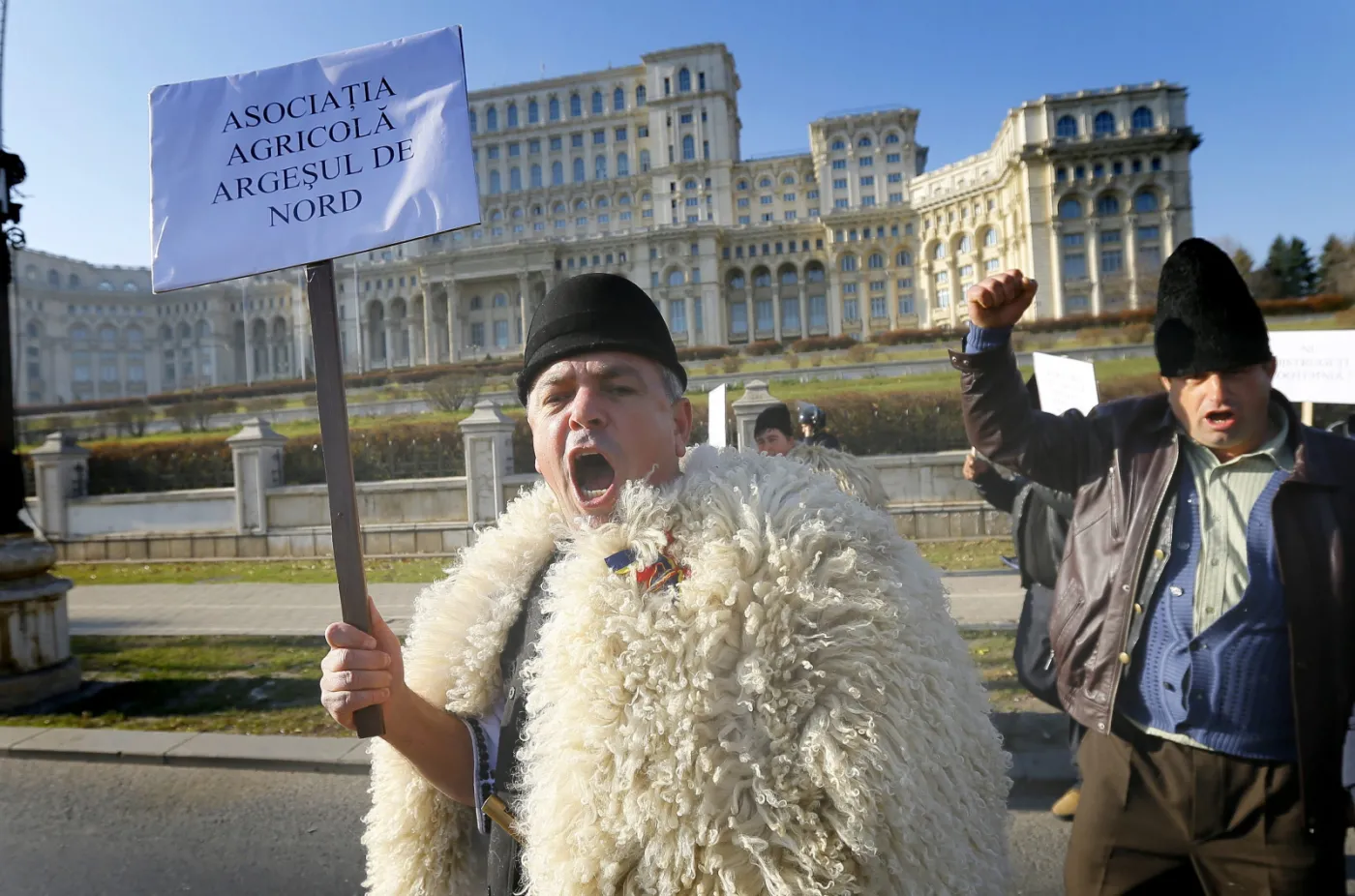 8546544-rumunscy-pasterze-protestuja.jpg