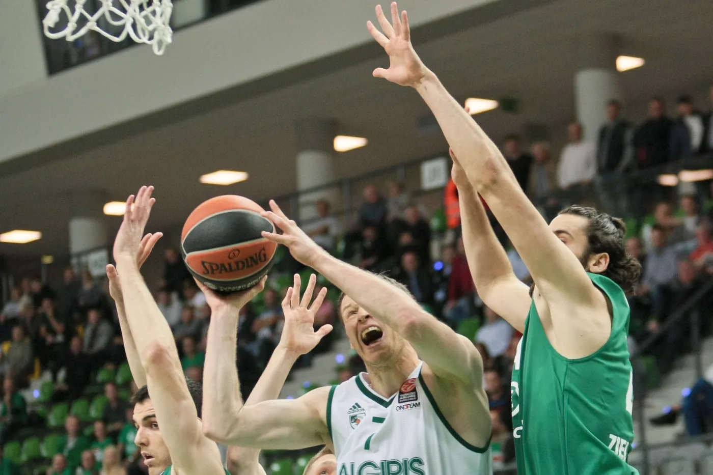 Martynas Pocius (C) z Żalgirisu Kowno oraz Dejan Borownjak (L) i Nemanja Djurisic (P) z miejscowego Stelmetu w meczu Euroligi koszykarzy w Zielonej Górze