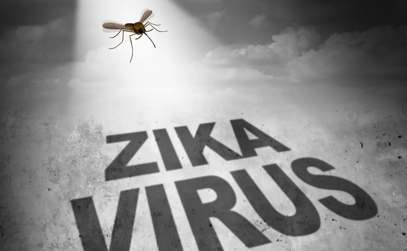 Komar przenoszący wirusa Zika