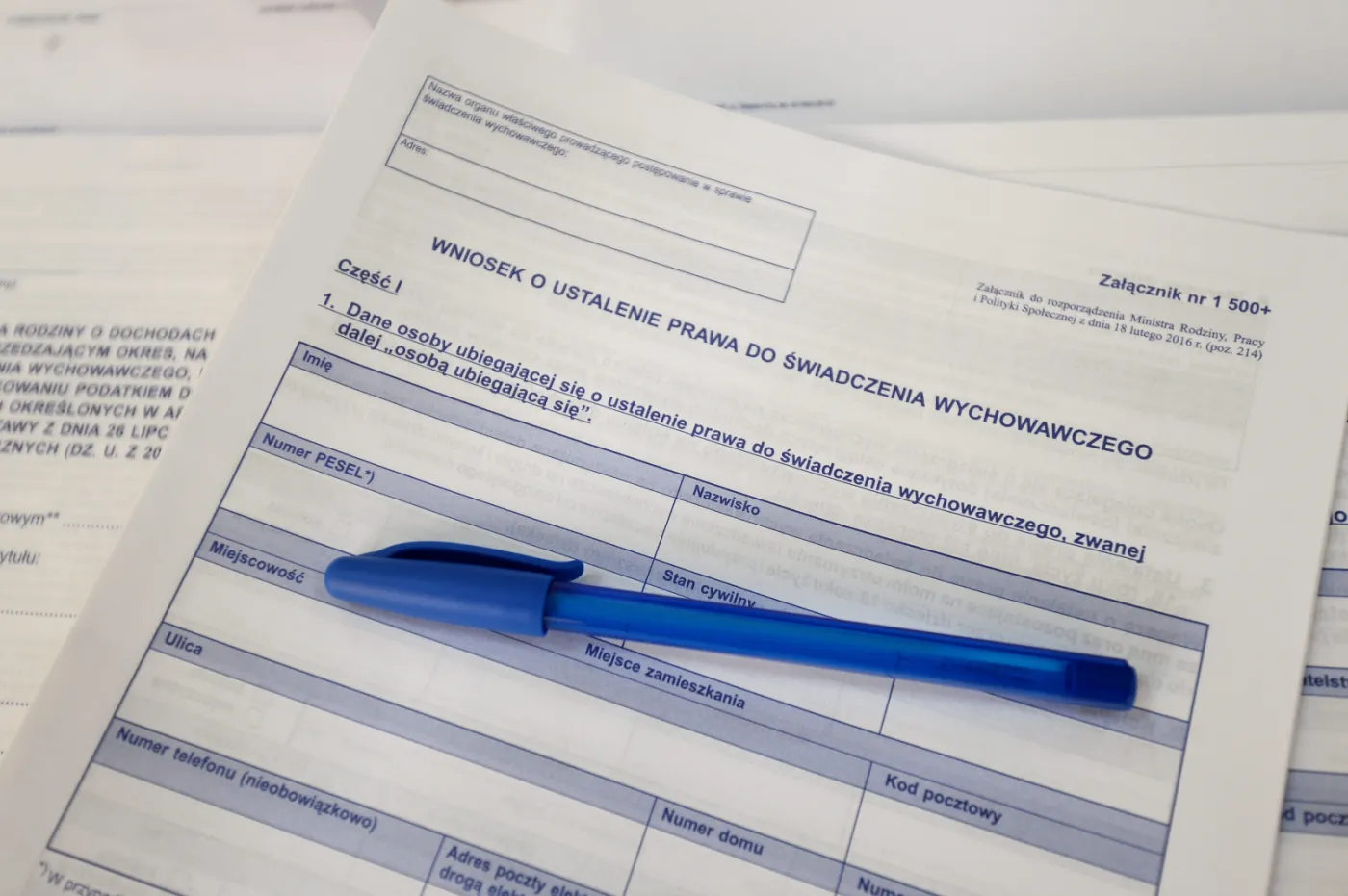 Ponad 170 tys. wniosków w programie "Rodzina 500 plus" przez internet. "Pieniądze są już w drodze"