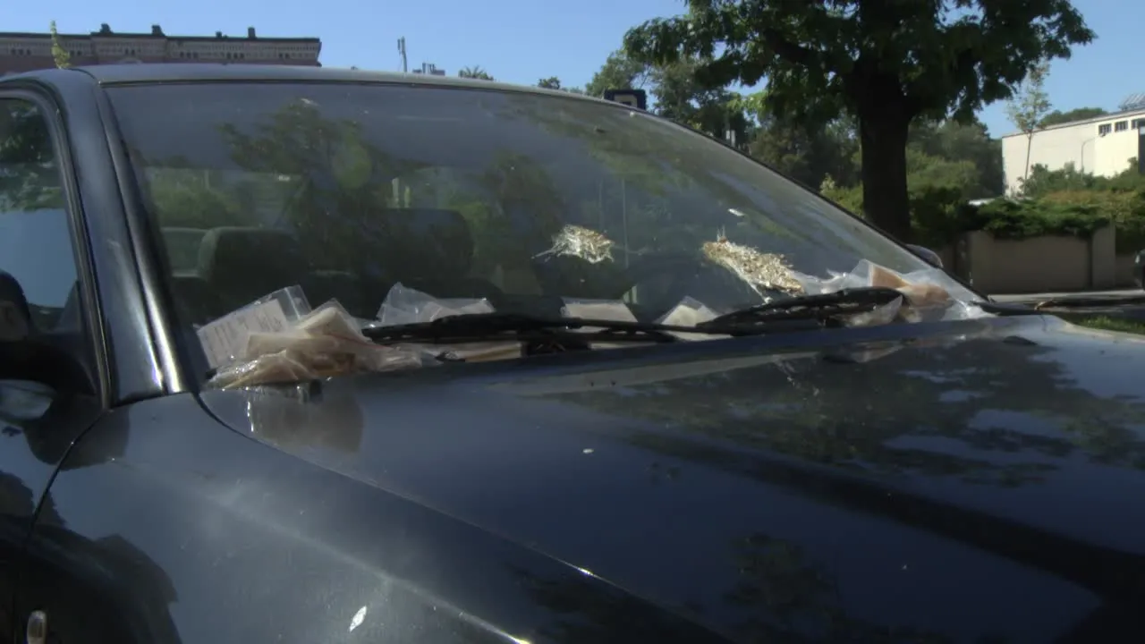 Mandatowy rekordzista w Łodzi