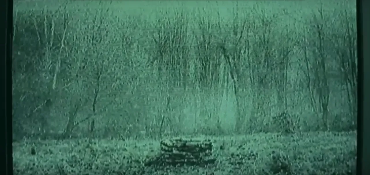 "Rings" w kinach 3 lutego 2017 roku