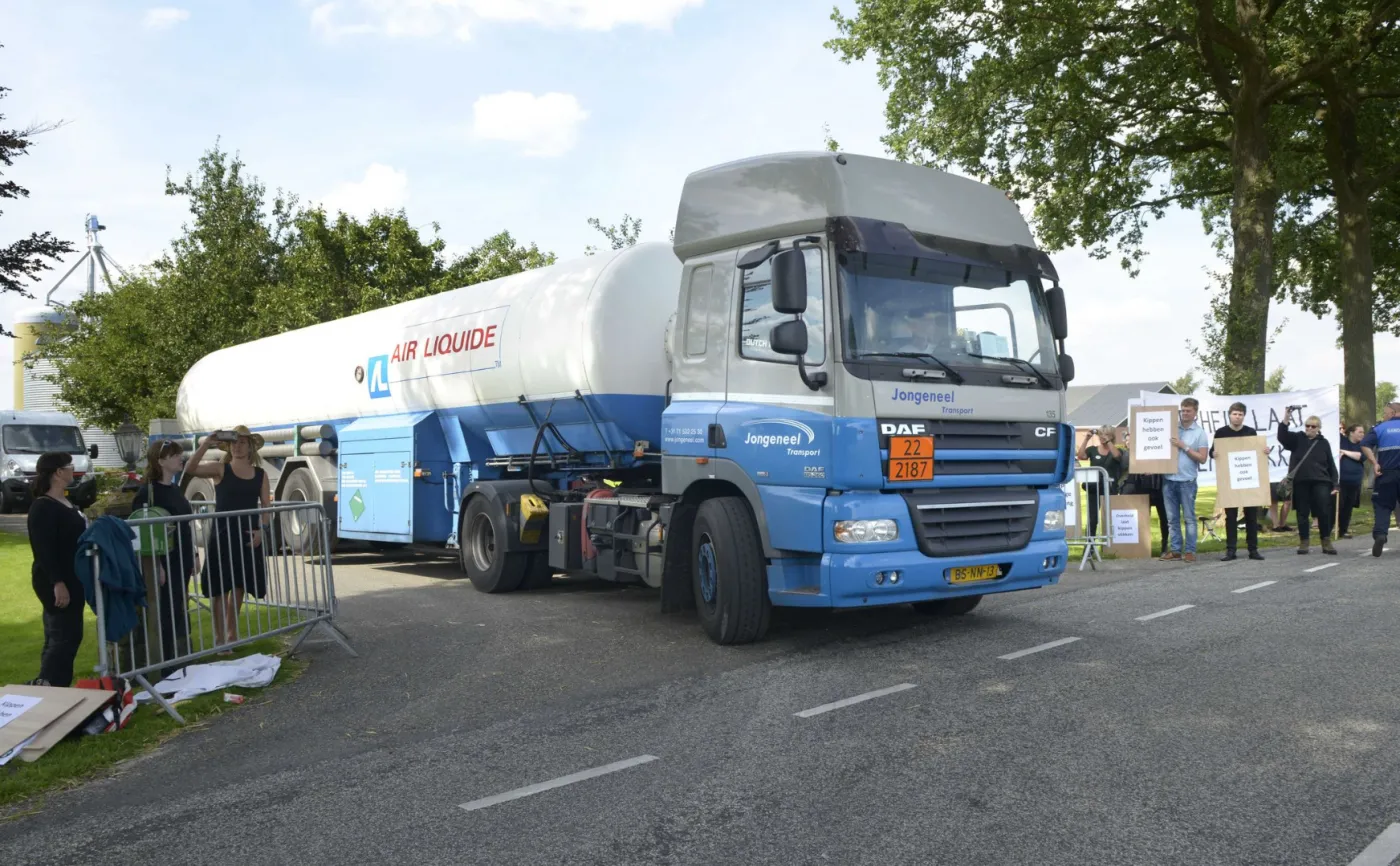 Protesty przed kurzą fermą w Holandii