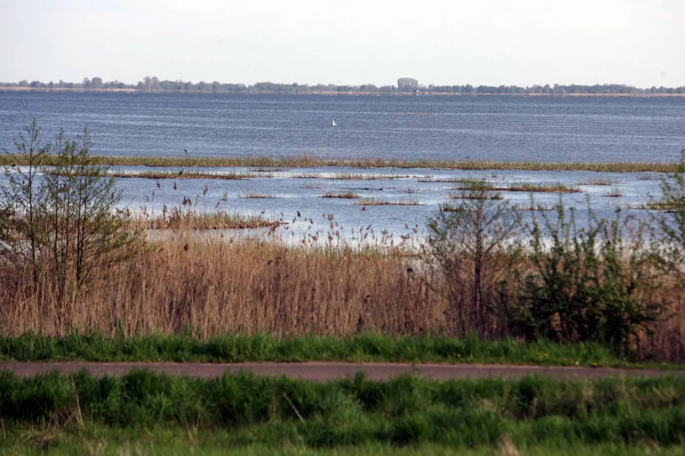 Zalew Wiślany w miejscowości Skowronki. Pierwszy projekt zakładał przekop w tym miejscu