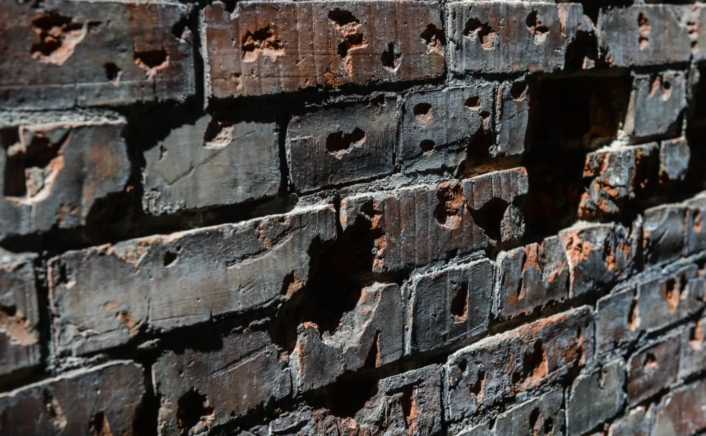 Odkryto ścianę egzekucji żołnierzy wyklętych. "Liczymy na to, że kule, łuski znajdziemy gdzieś tutaj pod ziemią"