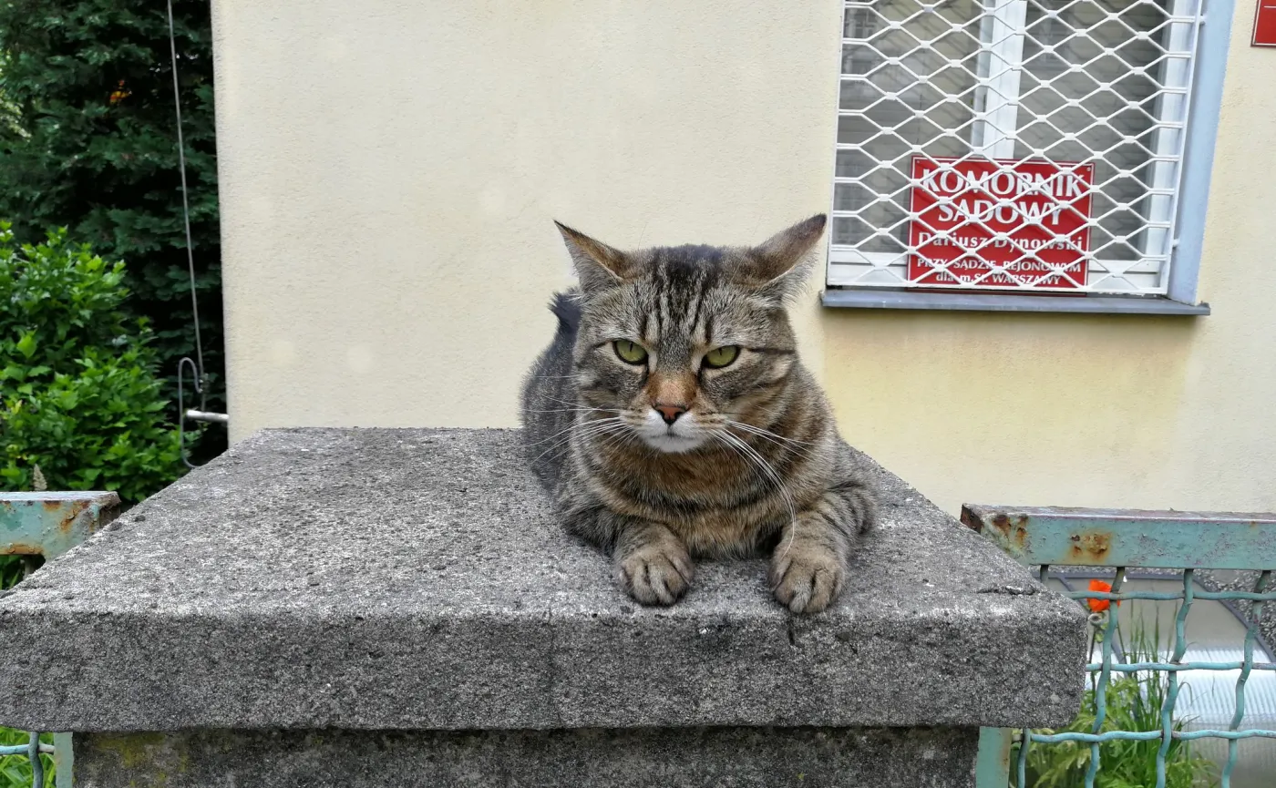 10251125-zdjecie-zrobione-przy-uzyciu.jpg