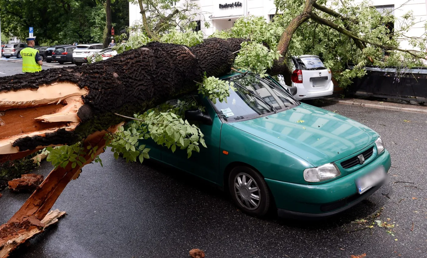 Powalone drzewa, zniszczone samochody, połamane gałęzie. Skutki nawałnicy w Warszawie