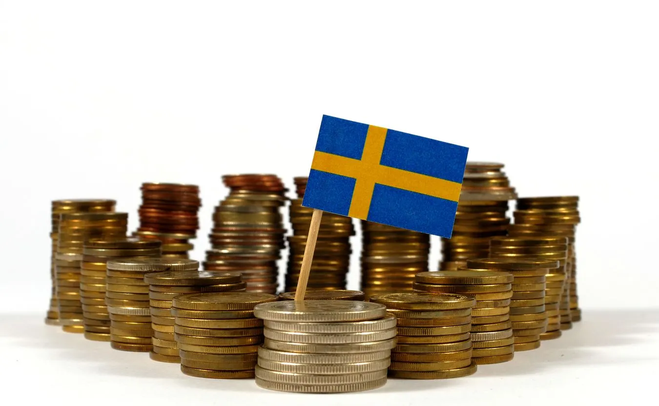 Pieniądze i szwedzka flaga