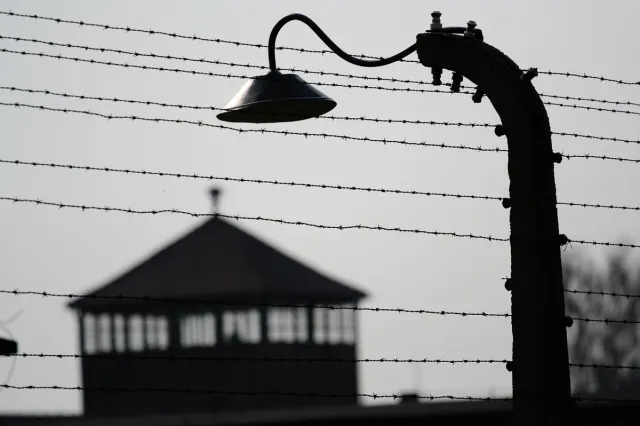 "Polska w żaden sposób nie kolaborowała z nazistami". Polski ambasador odpowiada historykowi