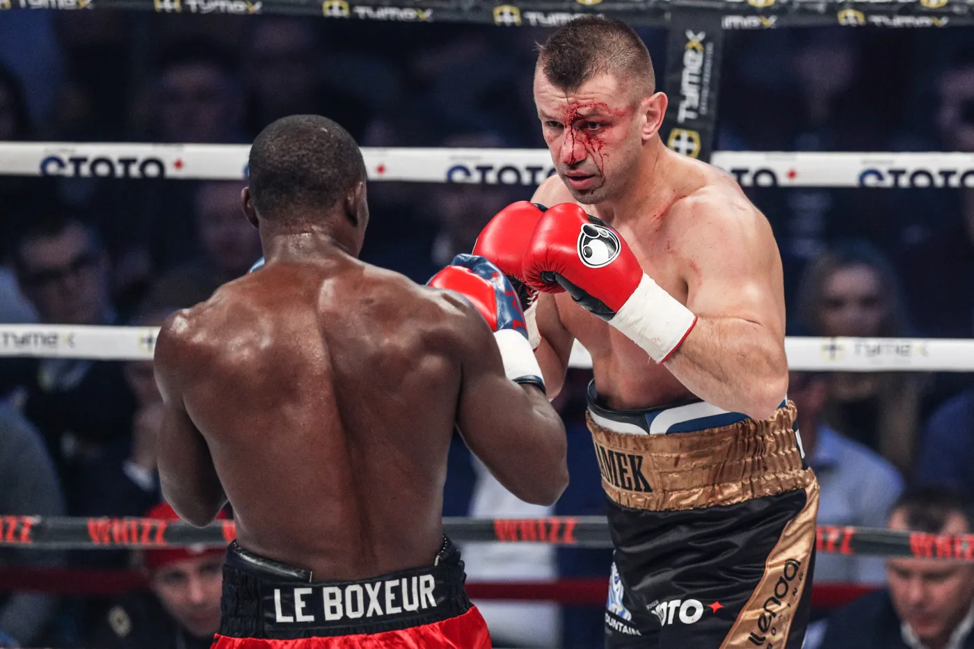 Tomasz Adamek i Fred Kassi