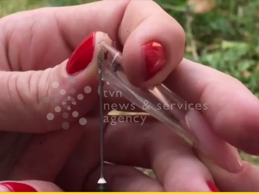 Kto może chcieć taką "ozdobę"? W Rosji robią sztuczne paznokcie z zamkniętymi w środku owadami. WIDEO