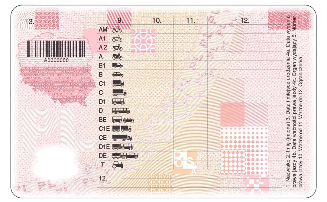 12169714-nowe-prawo-jazdy-bez-adresu.jpg