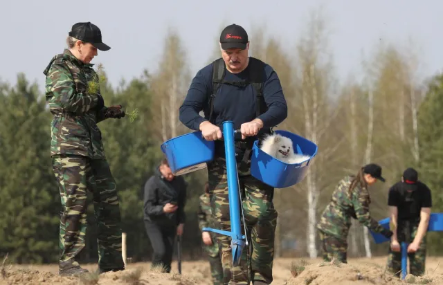 Wielki czyn społeczny na Białorusi. Koronawirus Łukaszence nadal niestraszny
