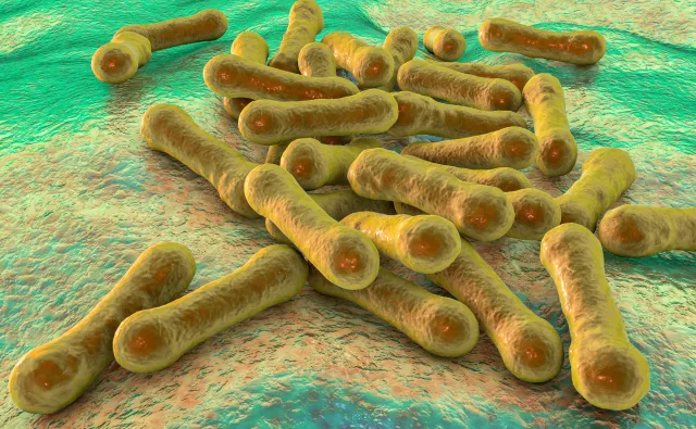Uodporniona na leki BŁONICA może znów stać się globalnym zagrożeniem