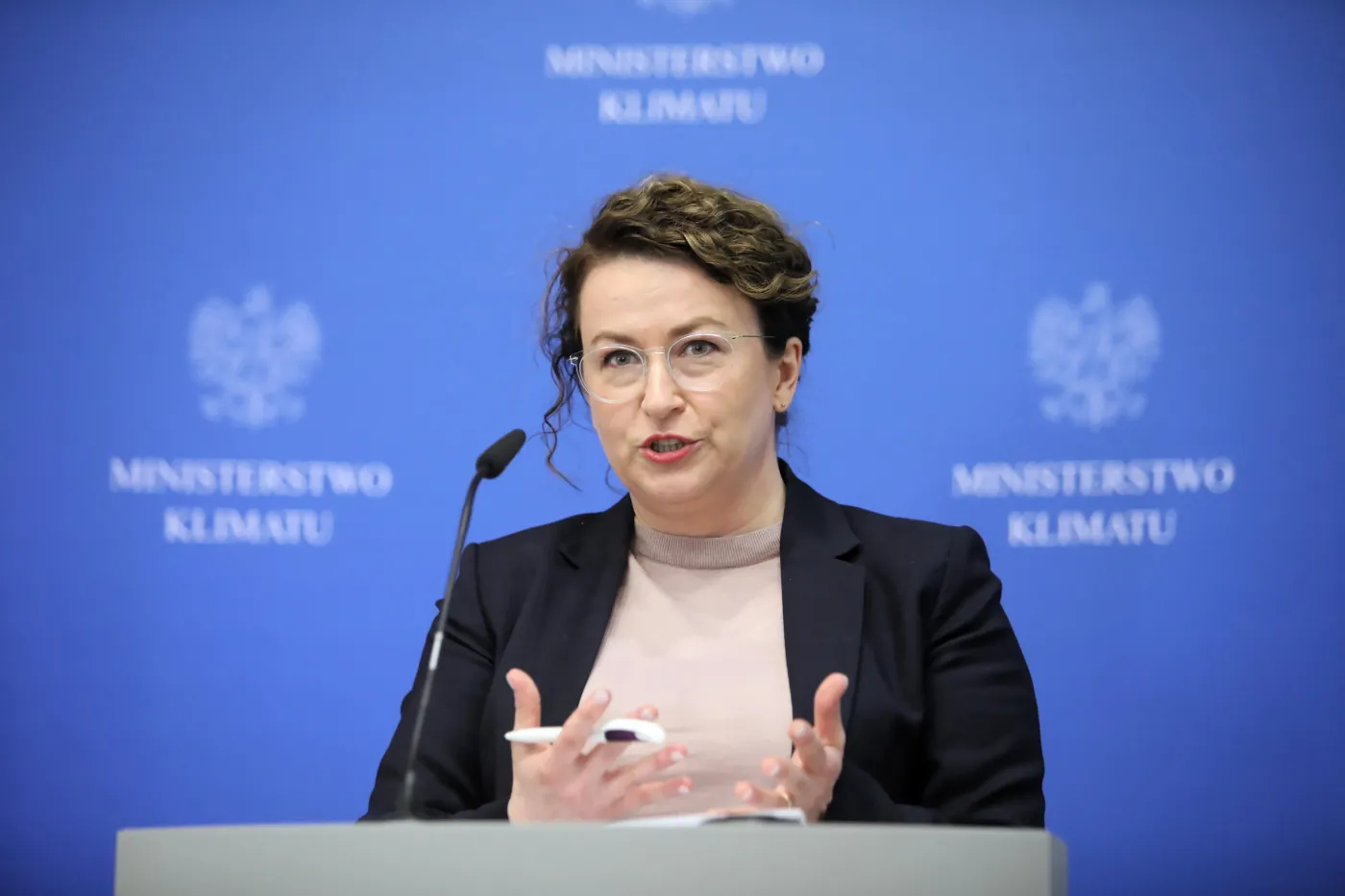 Ekspertka: Na transformacyjnej opieszałości zarabia Rosja