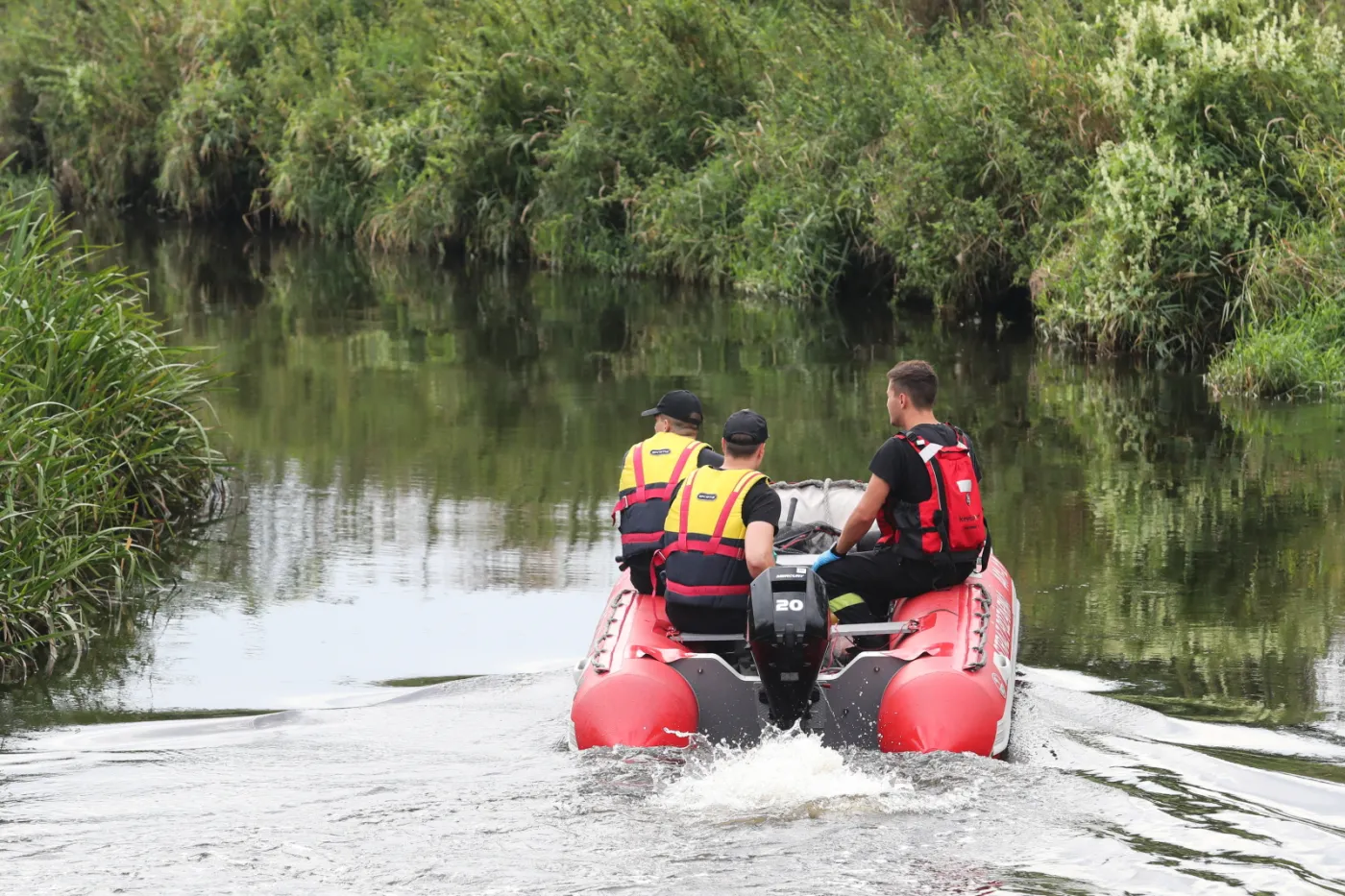 Sygnały o śniętych rybach w rzece Wełna i jeziorze w Środzie Wielkopolskiej
