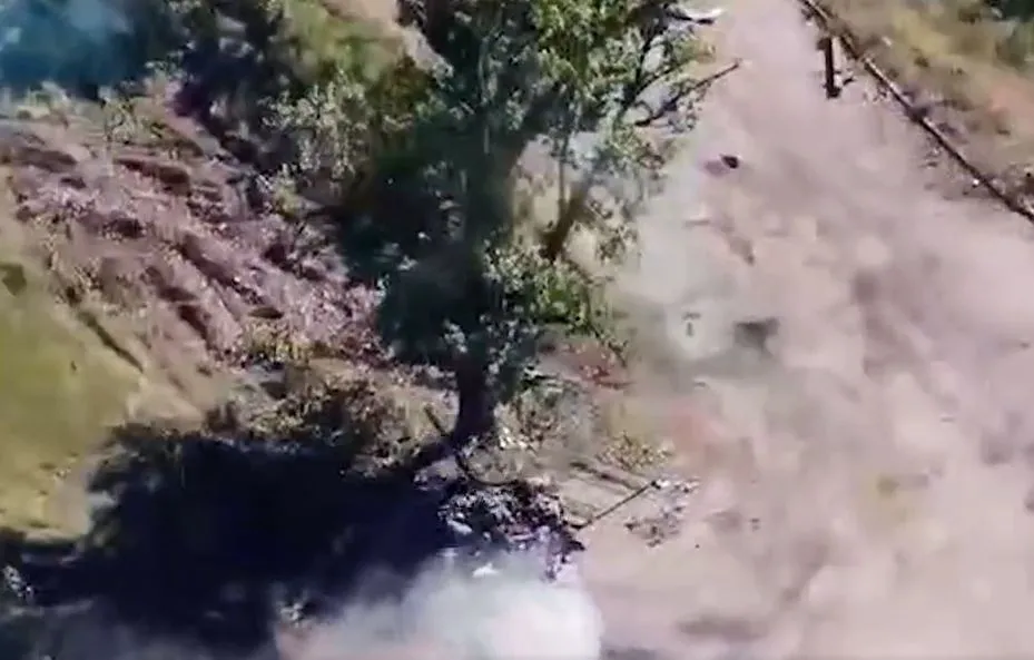 To nagranie jest hitem w sieci. "Nie porzucamy naszych"