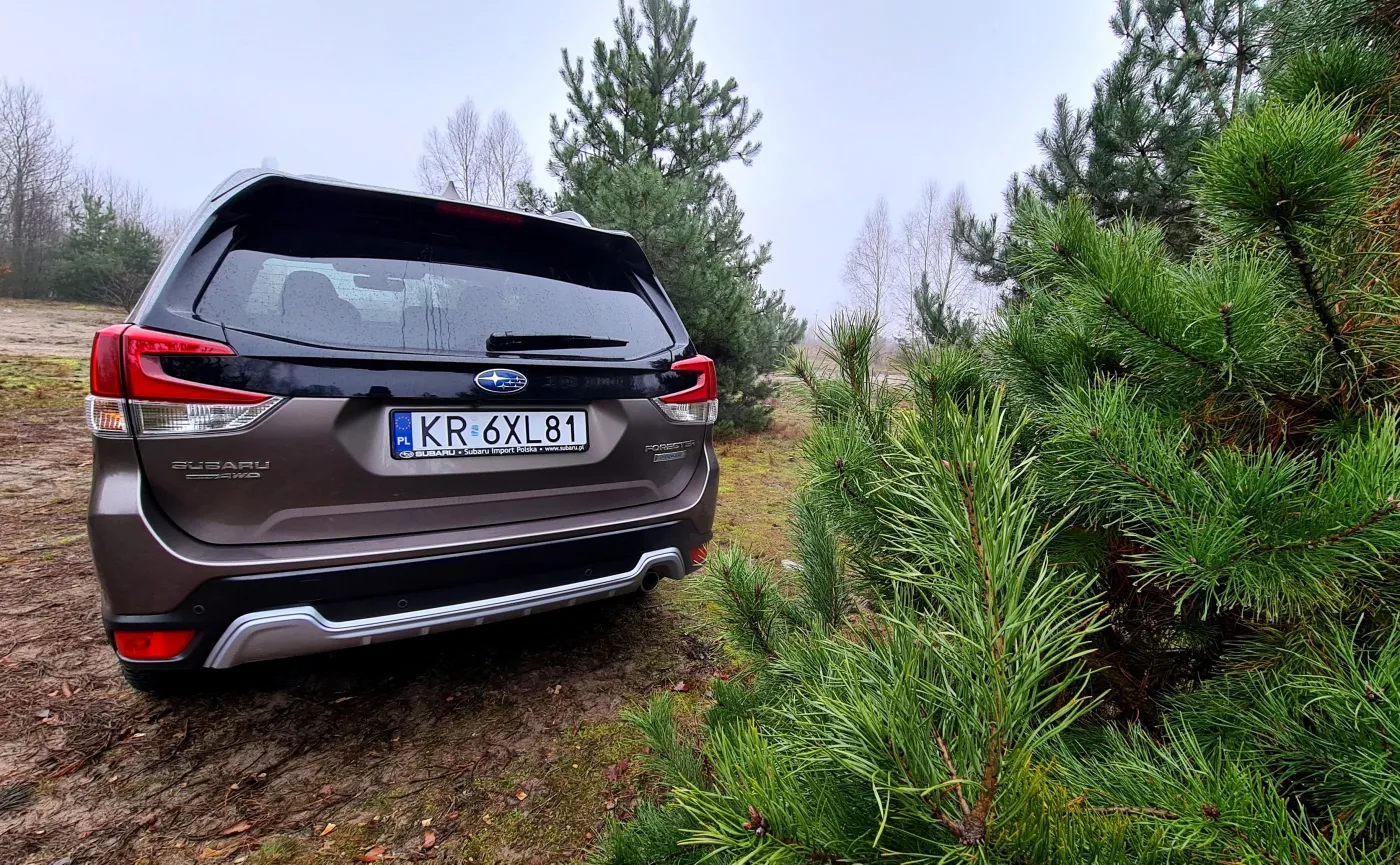 subaru-forester-20il-eboxer-37711264.jpg