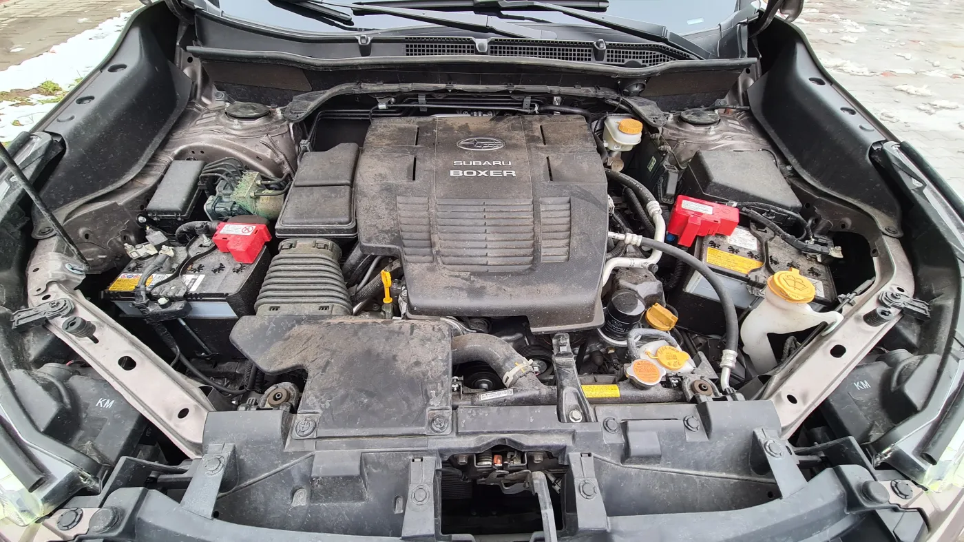 subaru-forester-20il-eboxer-37711299.jpg