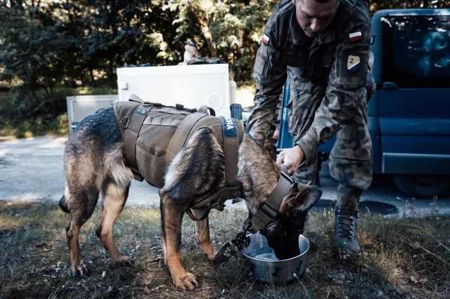 Afera o psy na defiladzie. Jest tłumaczenie armii
