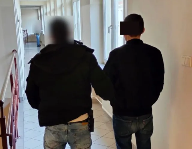 Warszawa. Uderzył matkę, psem rzucił o ścianę. 32-latek usłyszał zarzuty