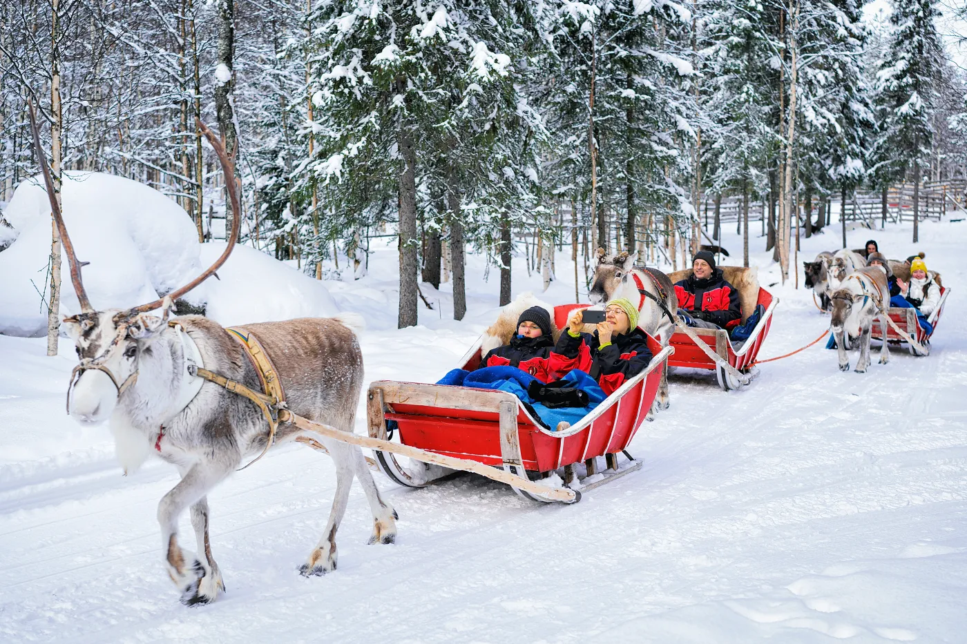 Rovaniemi,,Finland,-,March,5,,2017:,People,In,Reindeer,Sledge