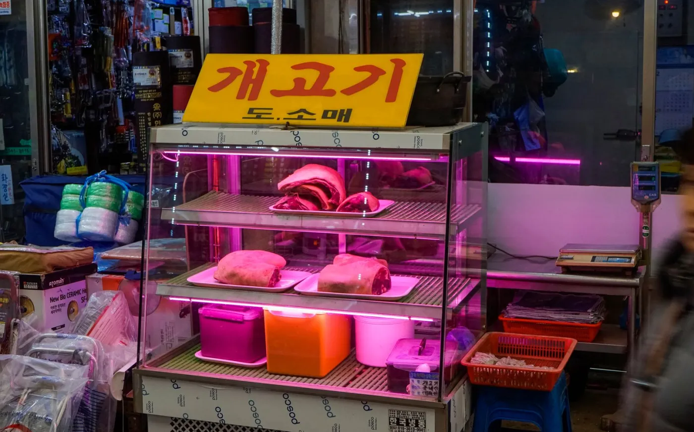 Ten kraj przyjął ustawę o zakazie uboju psów i konsumpcji psiego mięsa