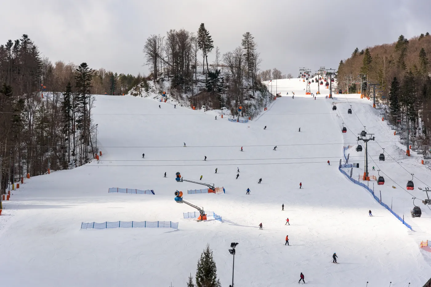 Krynica-Zdrój: Wjechał w stalową linę na stoku. 14-latek nie żyje