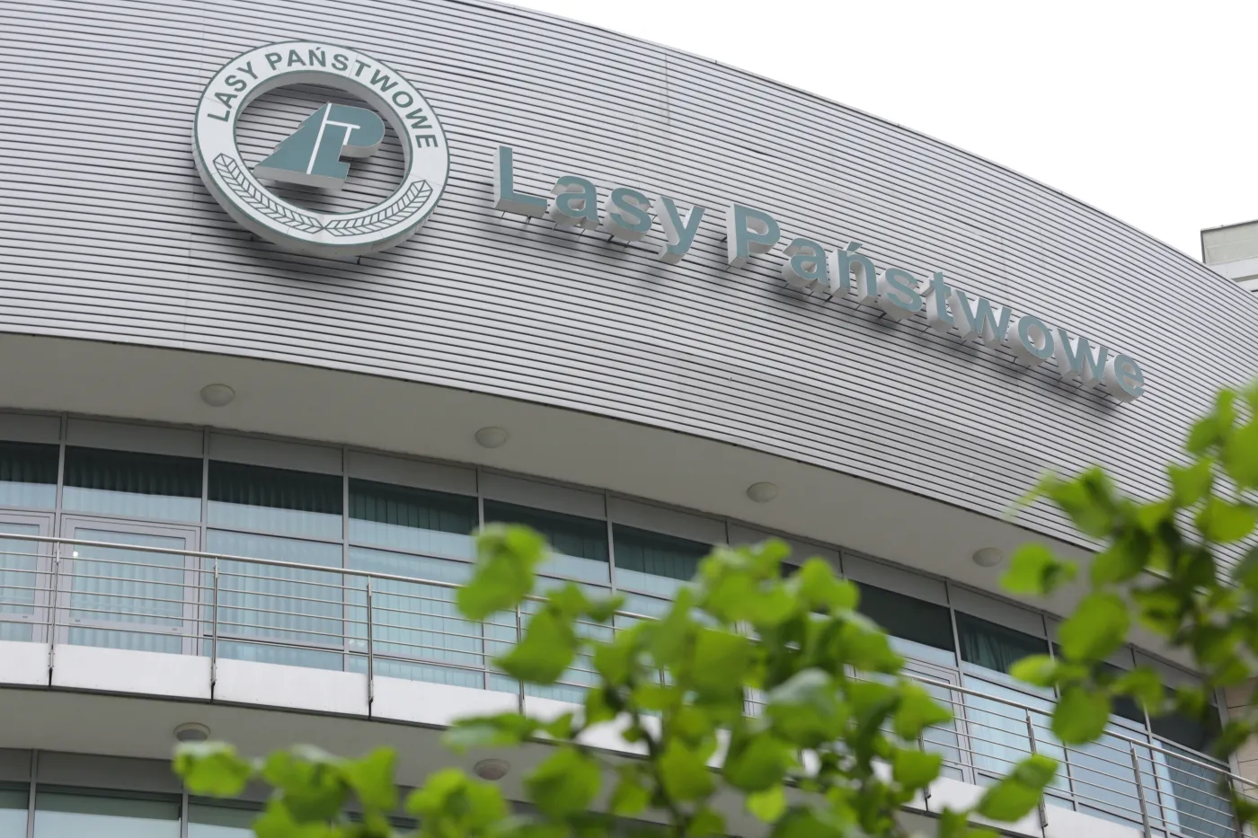 Miliony na spoty i artykuły. Miażdżący audyt Lasów Państwowych