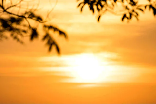 2023 rok najcieplejszym rokiem w historii. Powód? Zmiana klimatu i El Nino