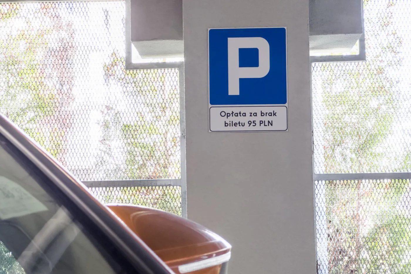 parkowanie-parking-parkometr-38116555.jpg