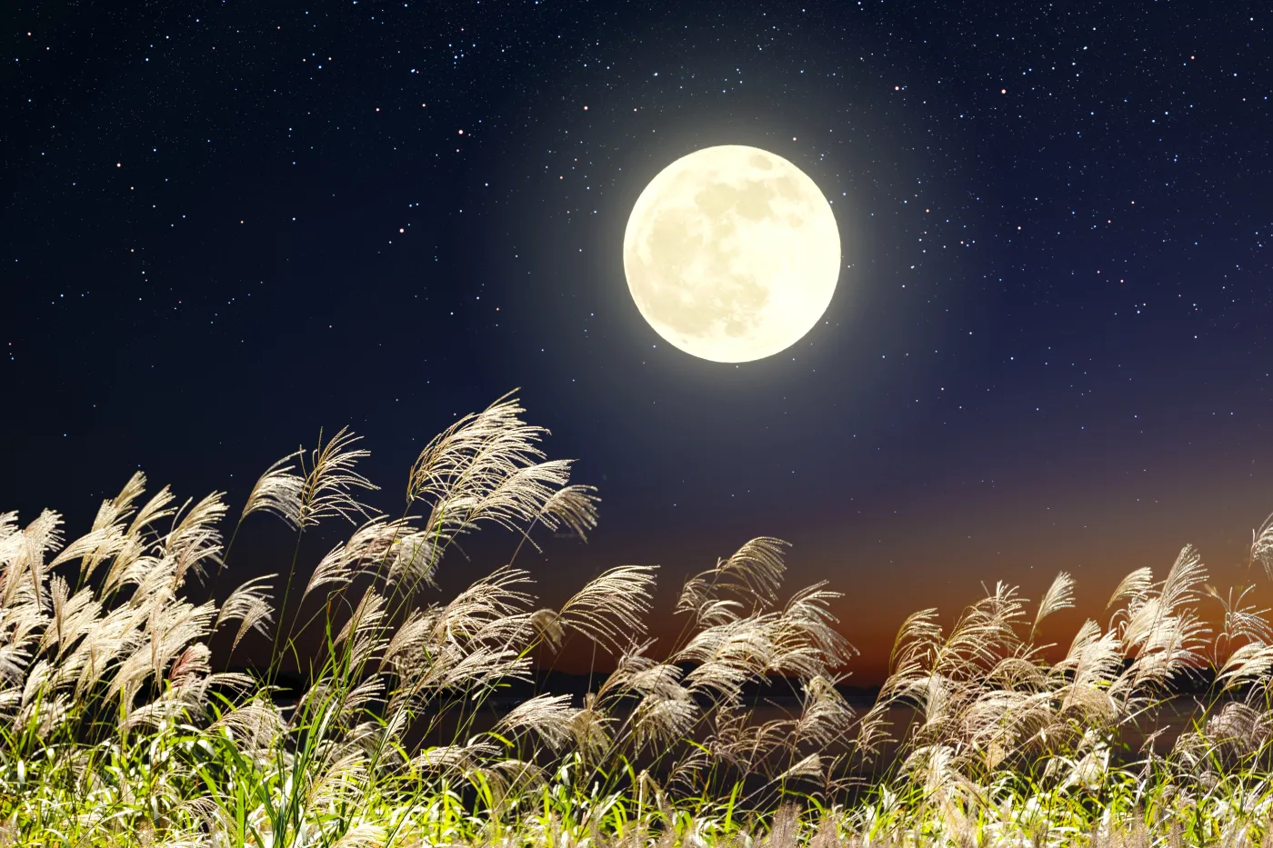 Composite,Photo,Of,The,Full,Moon,And,Pampas,Grass
