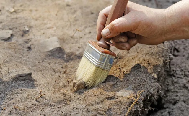 Polscy archeolodzy odkryli grę planszową sprzed ponad 4 tys. lat