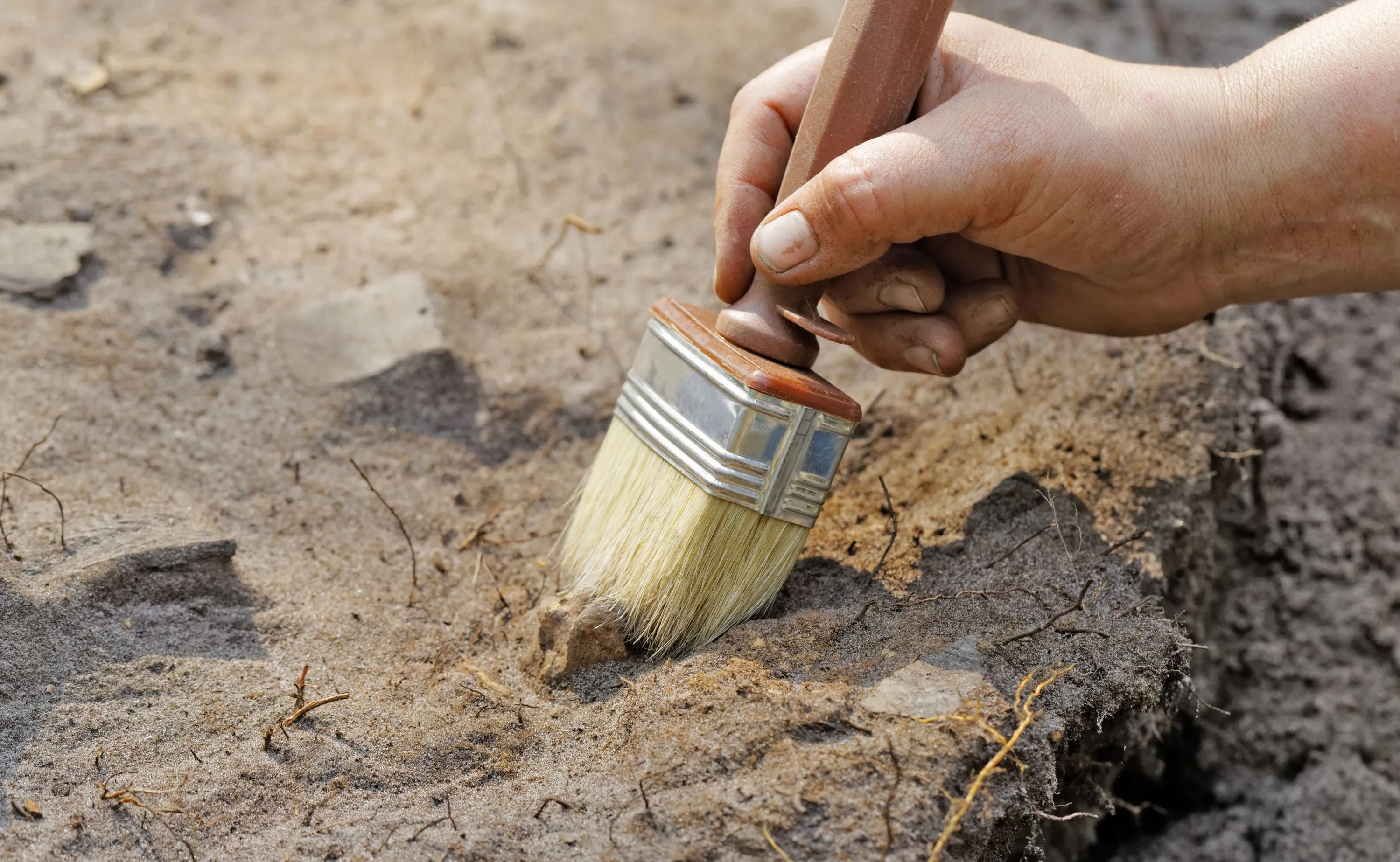 Wielkie wykopaliska przed budową CPK. Archeolodzy wchodzą do gry